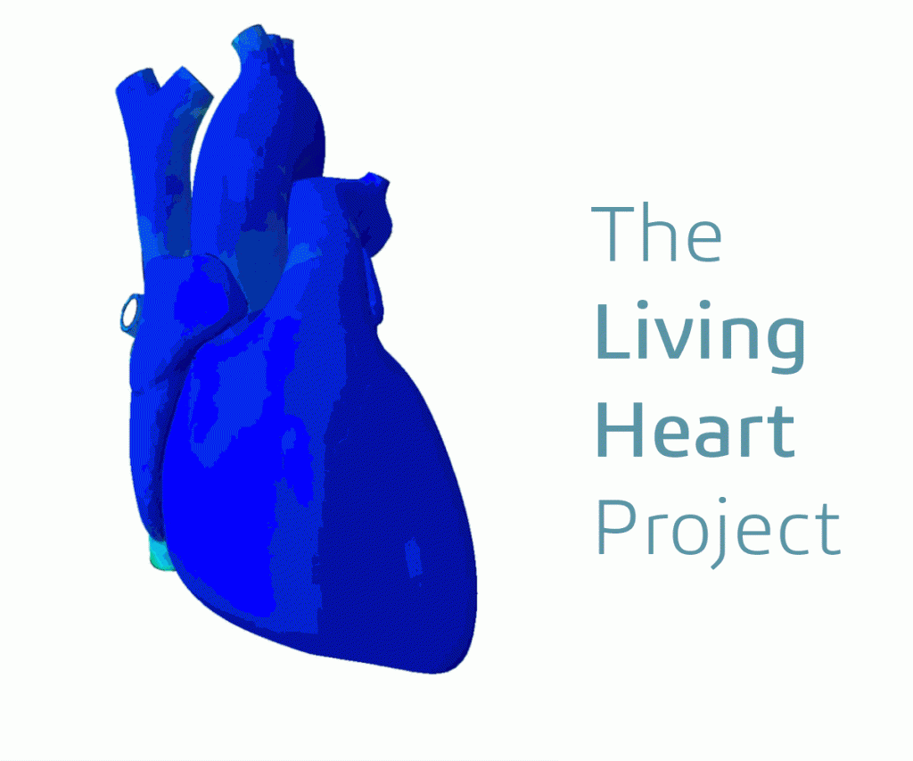 Los modelos realistas de corazones en 3D se unen a la batalla contra las enfermedades cardíacas (3)