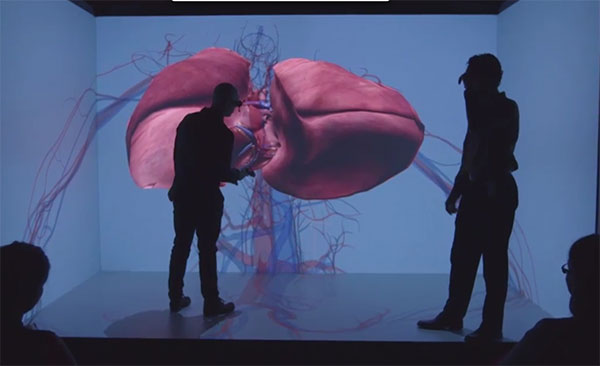 Los-modelos-realistas-de-corazones-en-3D-se-unen-a-la-batalla-contra-las-enfermedades-cardíacas-(4)